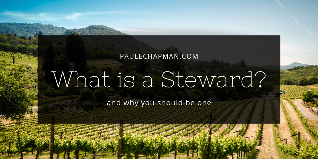 What is a Steward? and how to be a good one